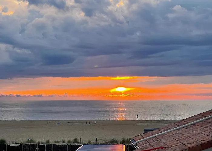 Atlantic Selection - La Parenthese De Capbreton - Vue Ocean, Plage Notre-Dame